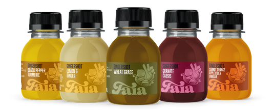 GINGERSHOT Multipack - 4 Flavours